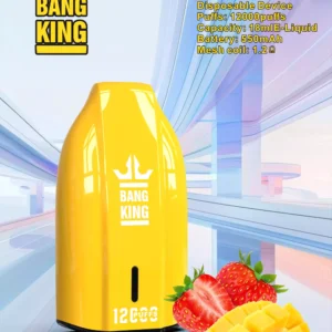 BANG KING 12000 Puffs Low Nicotine Factory Direct Bulk Disposable Vapes with a Selection of Fresh Flavors (4)