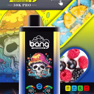 Original New Bang 30000 puffs PRO Disposable Vapes Factory Direct Bulk Buy Wholesale with Multiple Flavor Choices 26