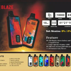 Wholesale BREZE BS BLAZE 10000 Puffs Disposable Vape Pen 2024 Best Seller with Mesh Coil Display Screen and Multiple Nicotine 0 2 5 Options 13